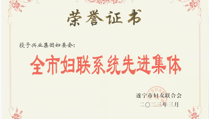 喜報！興業(yè)集團婦委會榮獲“全市婦聯(lián)系統(tǒng)先進集體”榮譽稱號