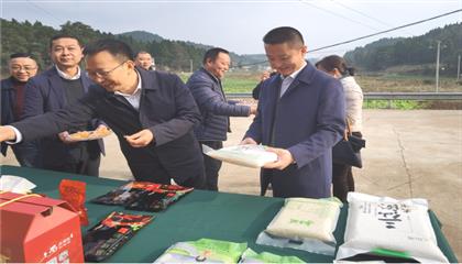 市委常委、政法委書(shū)記劉波濤帶隊(duì)調(diào)研指導(dǎo)定點(diǎn)幫扶村鄉(xiāng)村振興工作