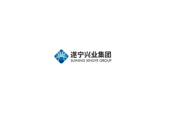嚴(yán)肅黨內(nèi)政治生活 夯實基層組織建設(shè)—興業(yè)集團(tuán)機(jī)關(guān)黨支部圓滿完成換屆選舉工作